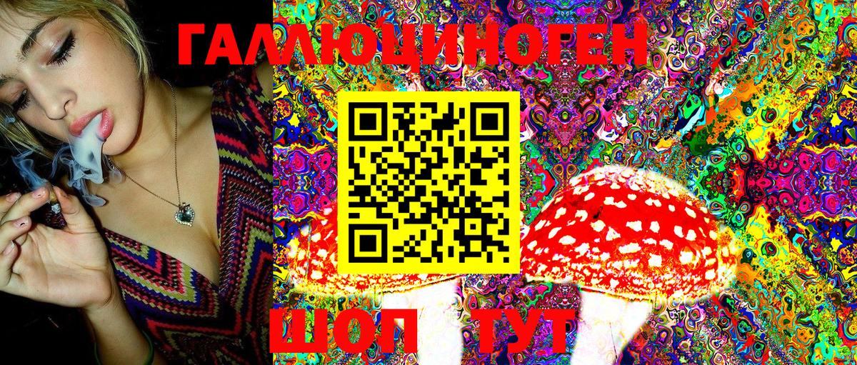 даркнет сайт  Вход с VPN  Псилоцибиновые грибы Magic Shrooms  Саки  Псилоцибиновые грибы мухоморы 