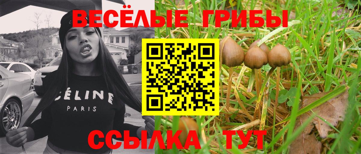 Псилоцибиновые грибы Magic Shrooms Саки